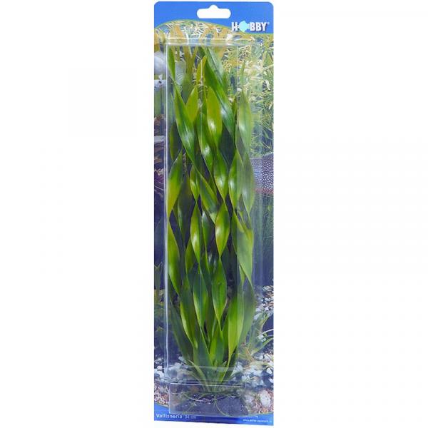 ARDEBO.de Dohse HOBBY Vallisneria 34 cm SB