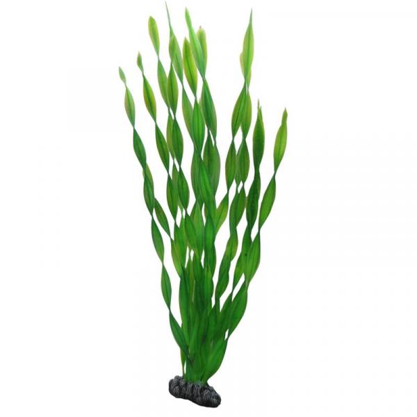 ARDEBO.de Dohse HOBBY Vallisneria 46 cm SB