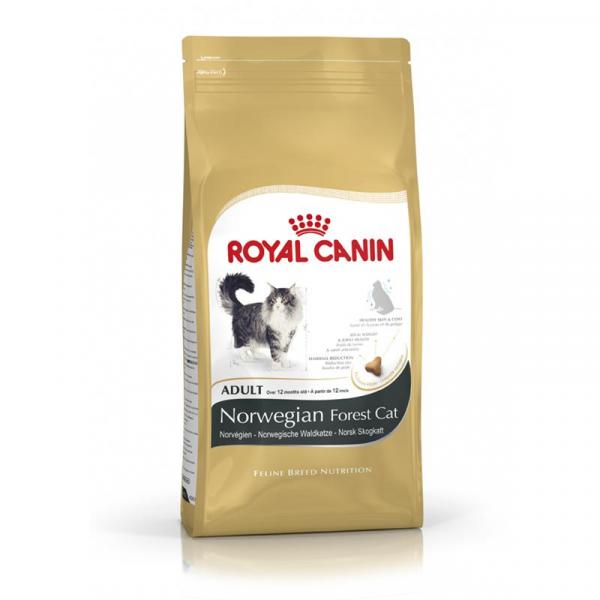 ARDEBO.de Royal Canin Feline Norwegian Forest Cat Adult 400g