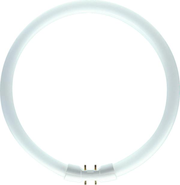 Philips Lighting - Lamps MASTER TL5 Circular 40W/830 1CT/10 MASTER TL5 Circular - Fluorescent lamp - Lamp *ANGEBOT*