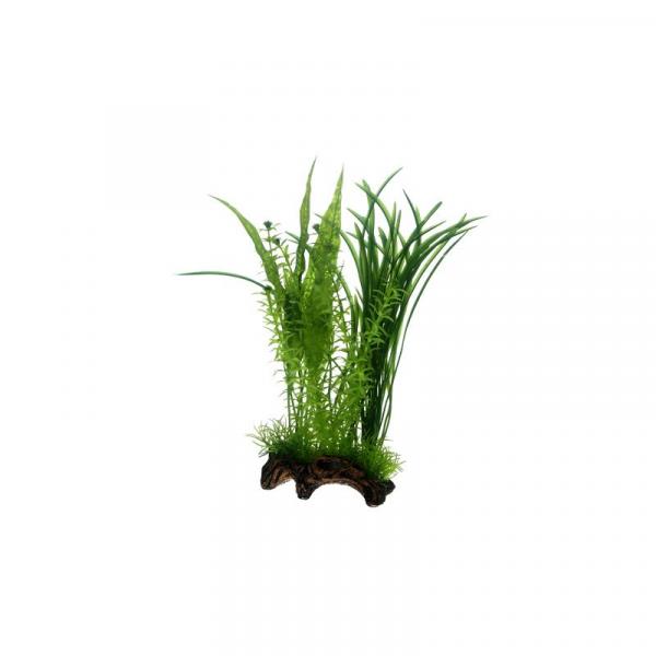 ARDEBO.de Dohse HOBBY Flora Root 1 Large 30 cm