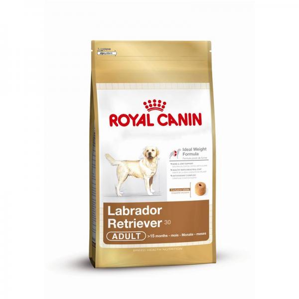 ARDEBO.de Royal Canin Labrador Retriever Adult 3kg