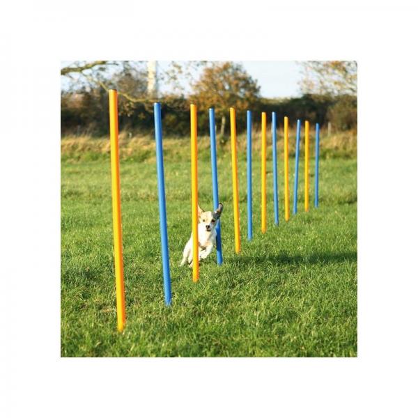 ARDEBO.de Trixie Dog Activity Agility Slalom