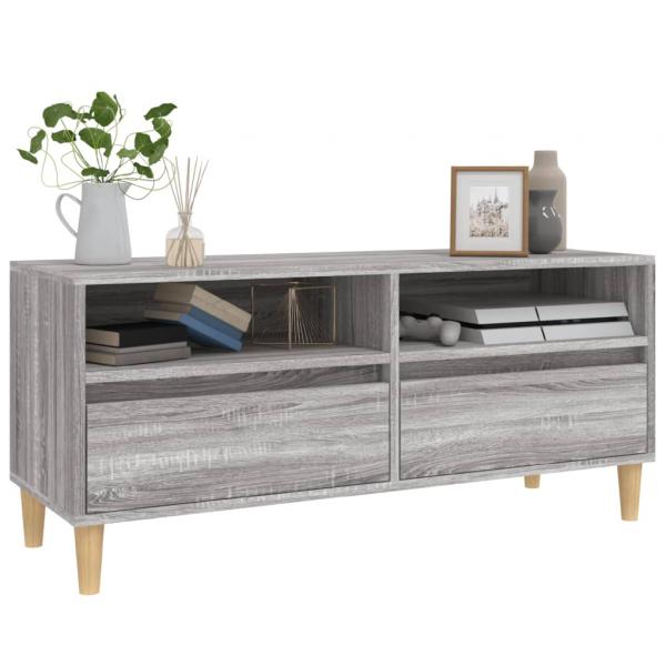 TV-Schrank Grau Sonoma 100x34,5x44,5 cm Holzwerkstoff