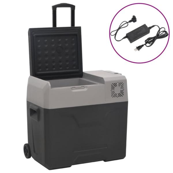 ARDEBO.de - Kühlbox mit Rollen und Adapter Schwarz & Grau 50 L Polypropylen