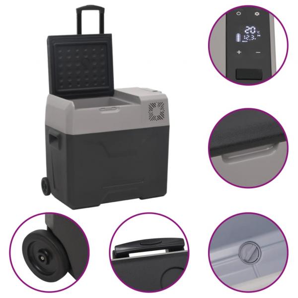 Kühlbox mit Rollen und Adapter Schwarz & Grau 30 L Polypropylen