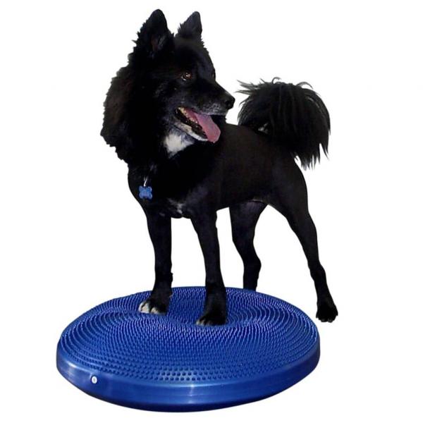 ARDEBO.de - FitPAWS Balance-Scheibe für Haustiere 56 cm Blau