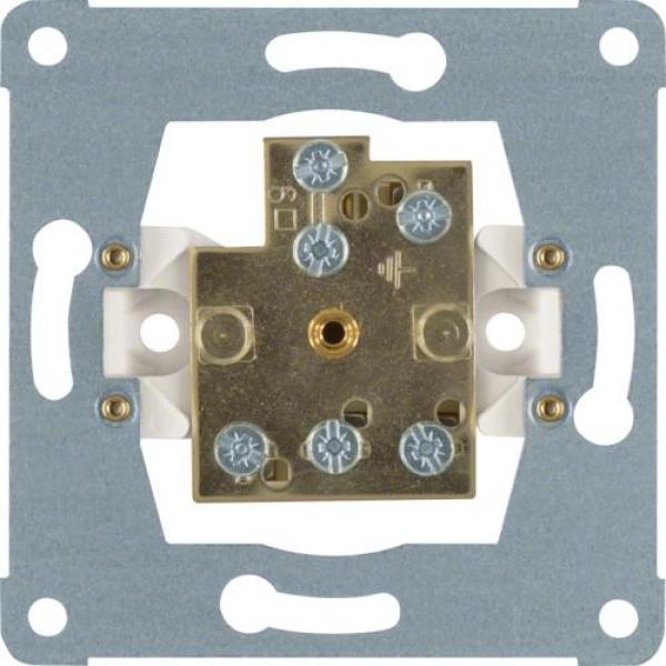 ARDEBO.de Berker 1061 Doppel-Potenzialausgleich-Steckdose, Modul-Einsätze