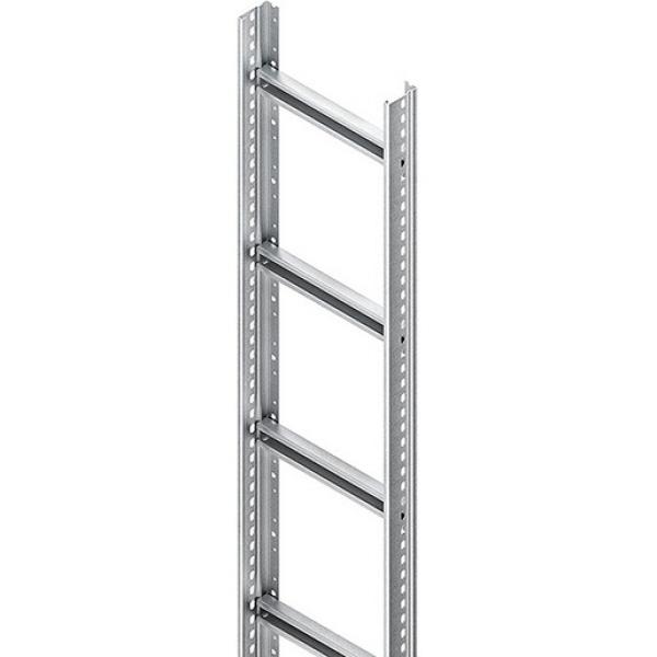 Niedax STM 60.203/3 Steigetrasse, 60x200x3000 mm, Sprossenabstand 300 mm, 1,75 kN, t=2  (Menge: 3 m je Bestelleinheit)