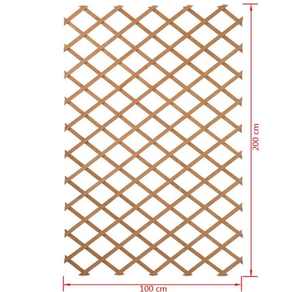 Nature Garten-Rankgitter 100x200 cm Holz Natur 6041703 