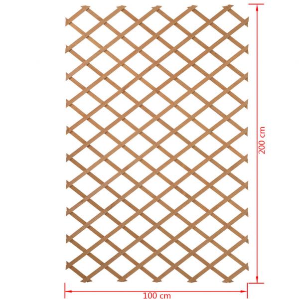 Nature Garten-Rankgitter 100x200 cm Holz Natur 6041703 