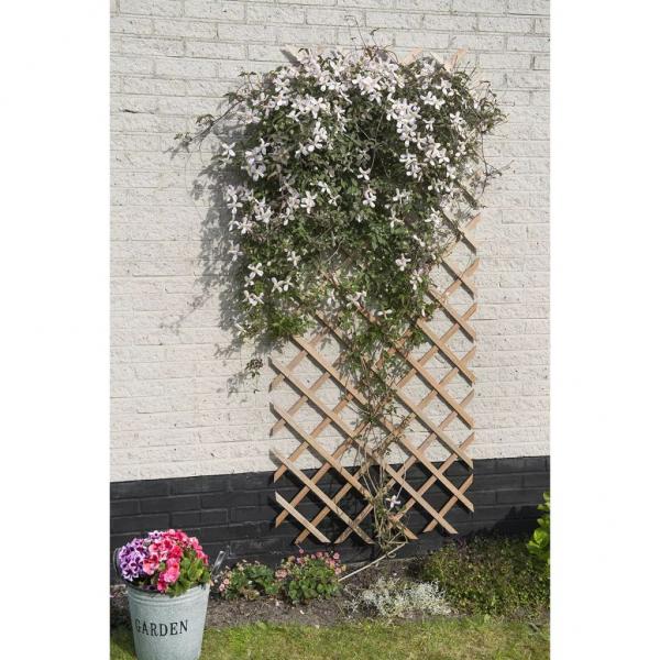 Nature Garten-Rankgitter 50x150 cm Holz Natur 