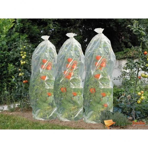 ARDEBO.de - Nature Tomaten-Reifehaube 1500×50 cm