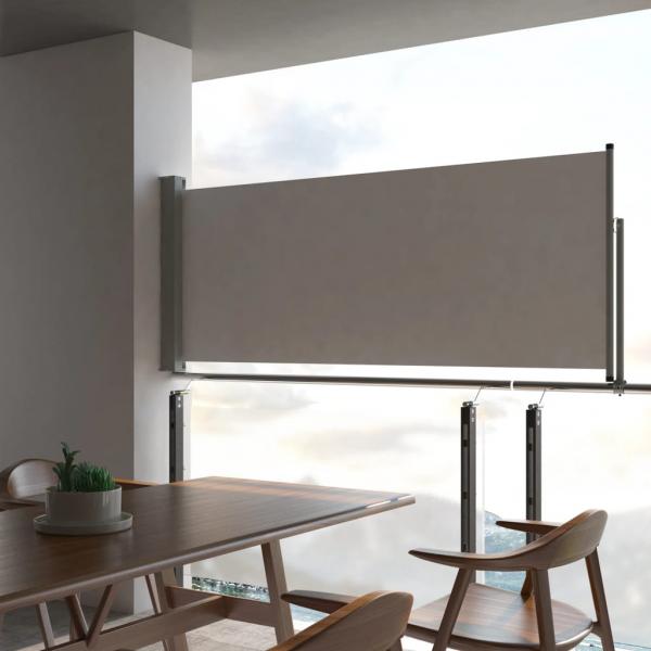 ARDEBO.de - Ausziehbare Seitenmarkise 100x300 cm Grau