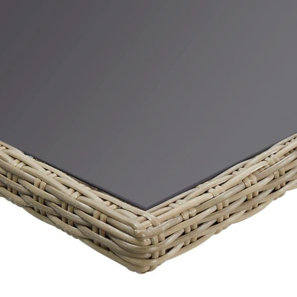 Garten-Esstisch Braun 200x100x74 cm Glas und Poly Rattan 