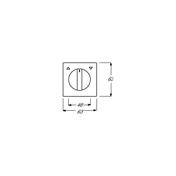 Busch-Jaeger 1740-866 Zentralscheibe mit Drehgriff und Aufdruck, Pur Edelstahl, edelstahl (2CKA001710A3748)