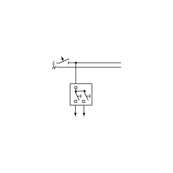 Busch-Jaeger 2020 US-205 Wipptaster Einsatz, 1-polig, 2 Schließer (2CKA001413A0491)