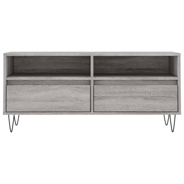 TV-Schrank Grau Sonoma 100x34,5x44,5 cm Holzwerkstoff