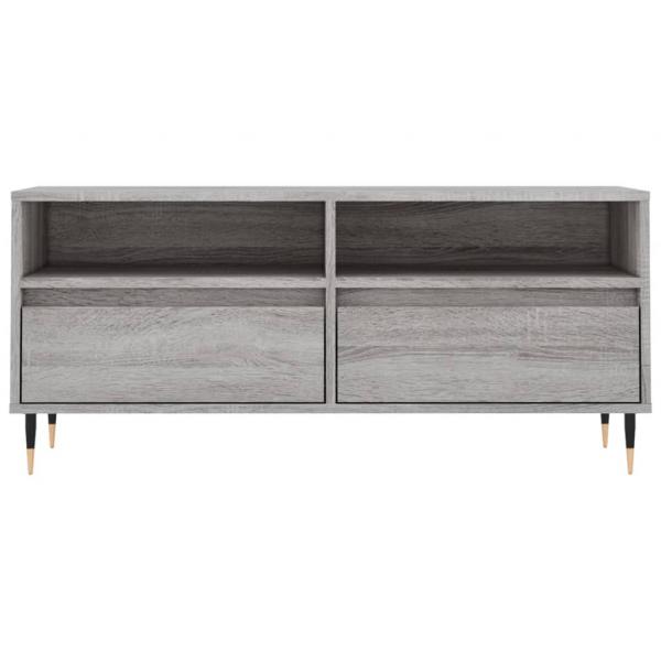 TV-Schrank Grau Sonoma 100x34,5x44,5 cm Holzwerkstoff