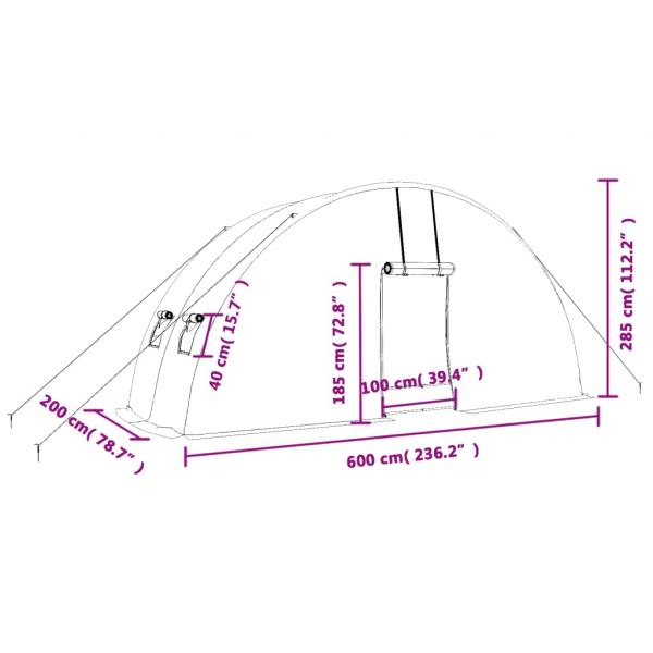 Gewächshaus mit Stahlrahmen Grün 12 m² 6x2x2,85 m