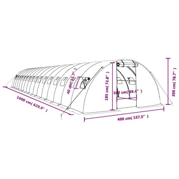 Gewächshaus mit Stahlrahmen Grün 64 m² 16x4x2 m