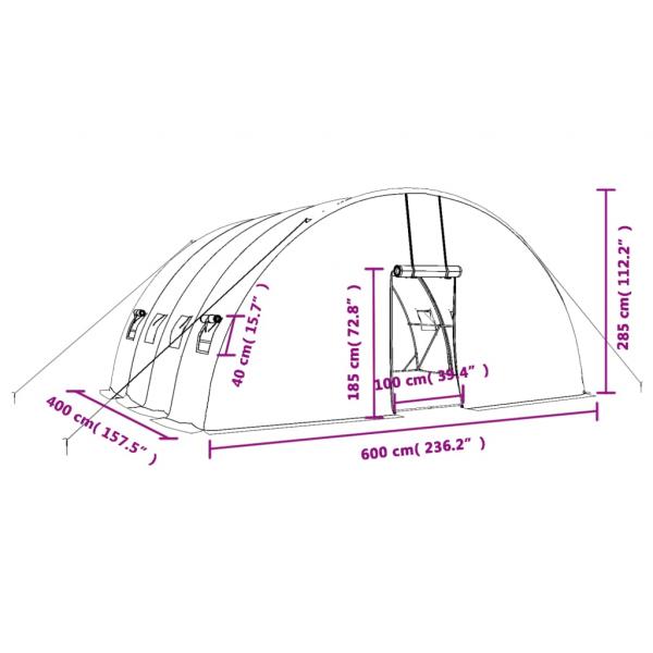 Gewächshaus mit Stahlrahmen Weiß 24 m² 6x4x2,85 m