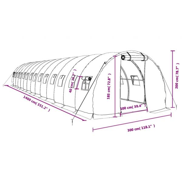 Gewächshaus mit Stahlrahmen Grün 42 m² 14x3x2 m