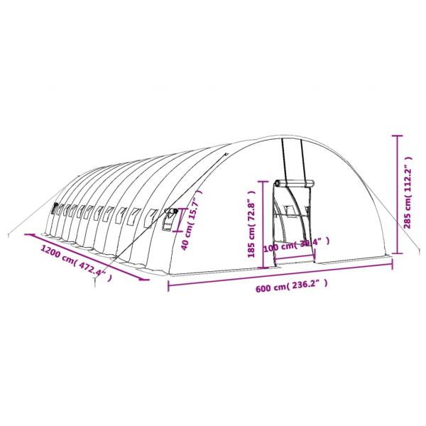 Gewächshaus mit Stahlrahmen Weiß 72 m² 12x6x2,85 m