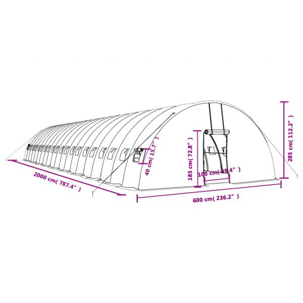 Gewächshaus mit Stahlrahmen Grün 120 m² 20x6x2,85 m