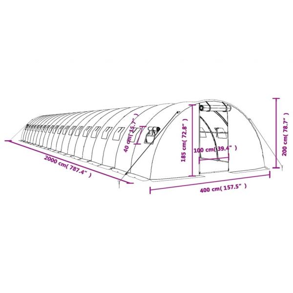 Gewächshaus mit Stahlrahmen Weiß 80 m² 20x4x2 m