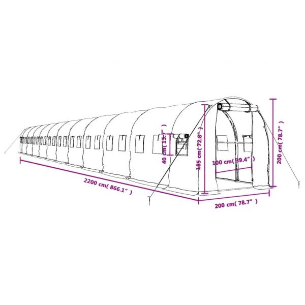 Gewächshaus mit Stahlrahmen Grün 44 m² 22x2x2 m