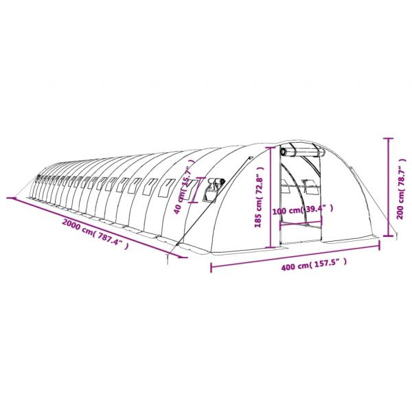 Gewächshaus mit Stahlrahmen Grün 80 m² 20x4x2 m