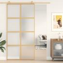 Schiebetür Golden 102,5x205 cm Matt ESG-Glas und Aluminium