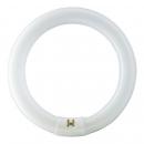 ARDEBO.de Philips MASTER TL-E Circular TL-E 32W/840 1CT/12, 32,8W, 2375lm, 4000K (55968515)