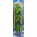 Dohse HOBBY Vallisneria 34 cm SB