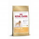 Royal Canin Poodel Adult 500g