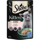 Sheba Portionsbeutel Kitten Lachs in Sauce 85g (Menge: 28 je Bestelleinheit)