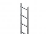 Niedax STM 60.503/3 Steigetrasse, 60x500x3000 mm, Sprossenabstand 300 mm, 1,75 kN, t=2  (Menge: 3 m je Bestelleinheit)